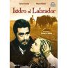 Isidro el Labrador (DVD)