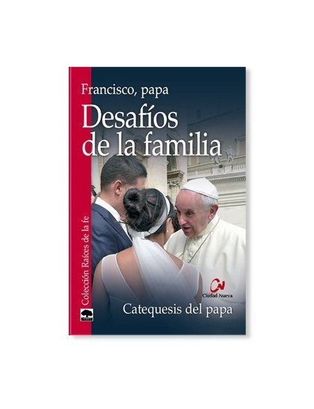 Desafíos de la familia: Catequesis del Papa francisco Desafíos de la familia: Catequesis del Papa francisco