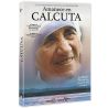 Amaneces en Calcuta (DVD)