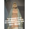 Testimonio de un ciego sobre el camino de oración diaria con Jesús y María (ADADP) - bolsillo