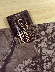 Una Carmelita en Flandes. Vida de Ana de San Bartolomé (USB + DVD)