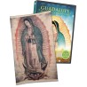 Guadalupe: Madre de la Humanidad (Pack DVD + Tilma mini)