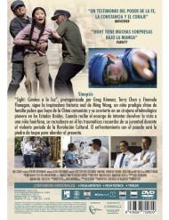 Sight: Camino a la luz (DVD)